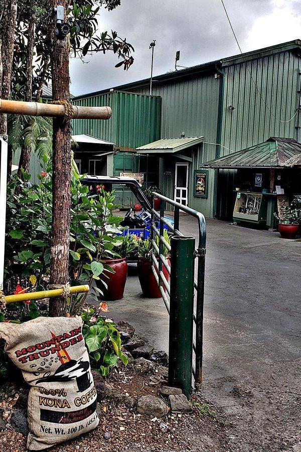 Mountain Thunder Coffee Plantation